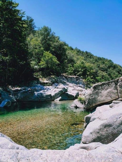 Gite Des 3 Vallees - Le Soleil Des Cevennes Apartment Saint-Jean-du-Gard Luaran gambar