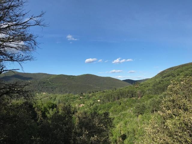 Gite Des 3 Vallees - Le Soleil Des Cevennes Apartment Saint-Jean-du-Gard Luaran gambar